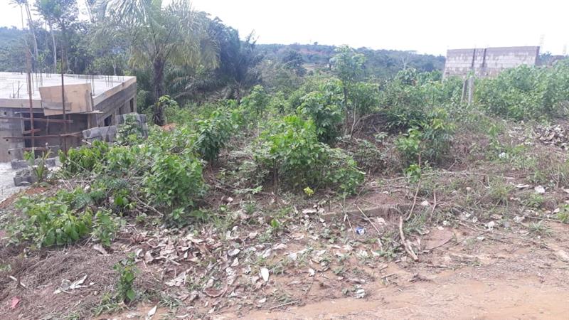 Terrain À Vendre À Pk 22 Douala 